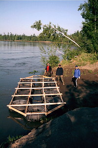 The frame of the raft at Taezny settlement (Kamchatka River bank).